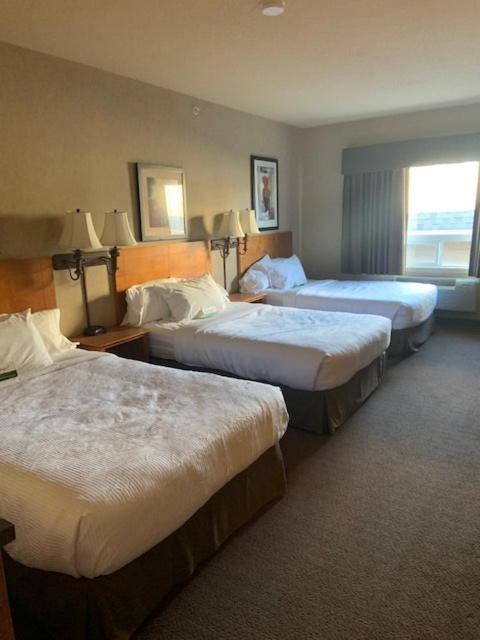 Clarion Pointe Hotel Rimbey Eksteriør billede